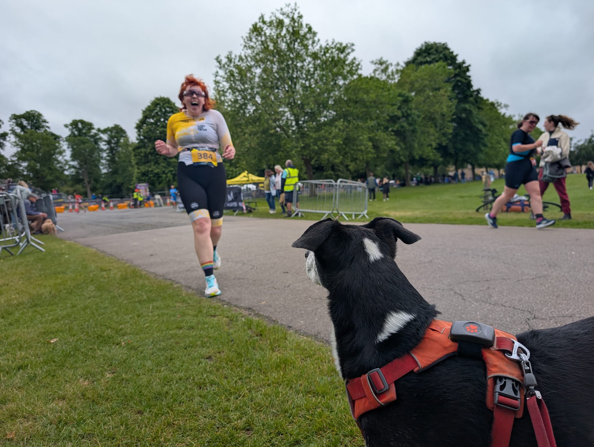 Me, wearing my women in tri UK trisuit and a massive grin, running along a tarmac path towards Marlowe, a black and white collie cross dog wearing a red harness