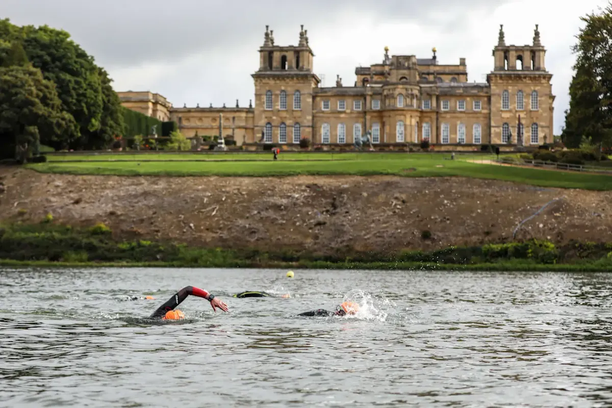 Road to Blenheim: You're Doing What?